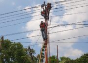 Demi Layanan Prima, PLN Muara Sabak Lakukan Pemeliharaan Jaringan Terjadwal di Tanjab Timur