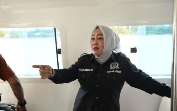 Ketua DPRD beserta Komisi II DPRD Tanjab Timur Tinjau Jembatan Muara Sabak Pasca Insiden Tabrakan Kapal