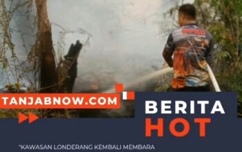Karhutla londerang kembali membara ,warga pertanyakan sumber api dan penanganan hukum ??